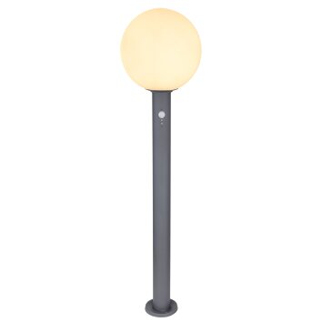 Borne lumineuse Globo OSSY Anthracite, 1 lumière, Détecteur de mouvement