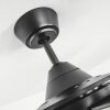 Ventilateur de plafond Tjerne LED Noir, 1 lumière, Télécommandes