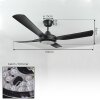 Ventilateur de plafond Tjerne LED Noir, 1 lumière, Télécommandes