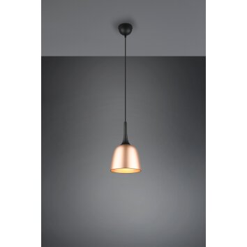 Suspension Trio-Leuchten Chiron Laiton, 1 lumière