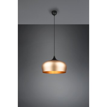 Suspension Trio-Leuchten Chiron Laiton, 1 lumière