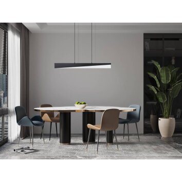 Suspension Eglo-Leuchten ISIDRO LED Noir, 1 lumière