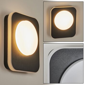 Applique murale d'extérieur Haga LED Noir, 1 lumière