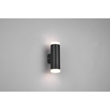 Applique murale Trio-Leuchten Ray LED Noir, 2 lumières