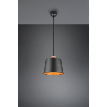 Suspension Trio-Leuchten Harris Noir, 1 lumière