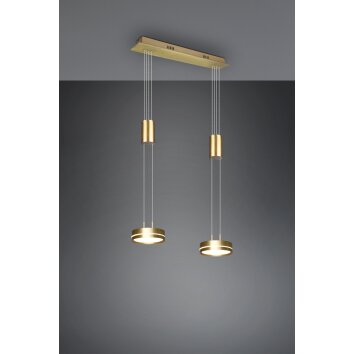 Suspension Trio-Leuchten Franklin LED Laiton, 2 lumières