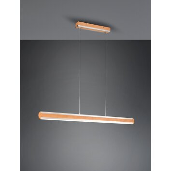 Suspension Trio-Leuchten Deacon LED Brun, 1 lumière