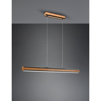 Suspension Trio-Leuchten Deacon LED, 1 lumière