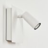 Applique murale d'extérieur Saeter LED Blanc, 1 lumière