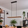 Suspension Luturula LED Noir, 1 lumière