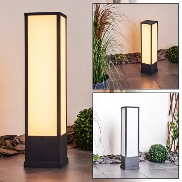 Borne lumineuse Apidou LED Anthracite, 1 lumière