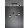 Suspension Trio-Leuchten Harris Noir, 4 lumières