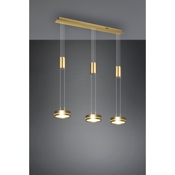 Suspension Trio-Leuchten Franklin LED Laiton, 3 lumières