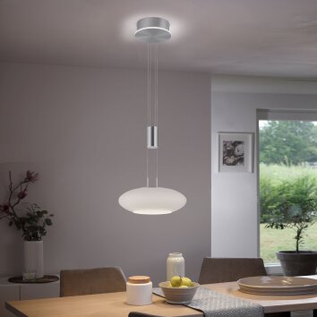 Suspension Paul-Neuhaus Q-ETIENNE LED Acier brossé, 2 lumières, Télécommandes