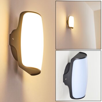 Applique murale d'extérieur Svea LED Anthracite, 1 lumière