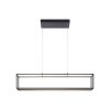 Suspension Paul-Neuhaus CONTURA LED Noir, 4 lumières