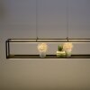 Suspension Paul-Neuhaus CONTURA LED Noir, 4 lumières