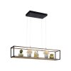 Suspension Paul-Neuhaus CONTURA LED Noir, 4 lumières