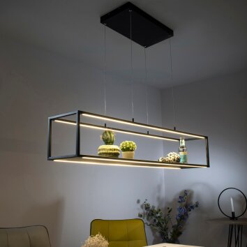 Suspension Paul-Neuhaus CONTURA LED Noir, 4 lumières