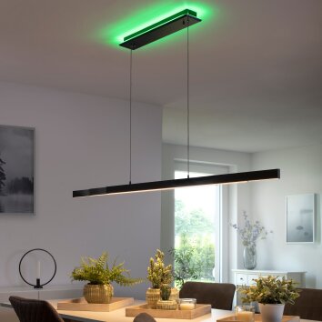 Suspension Paul-Neuhaus Q-ARIAN LED Anthracite, 4 lumières, Télécommandes