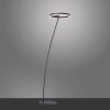 Lampadaire Paul-Neuhaus TITUS Anthracite, 1 lumière