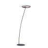 Lampadaire Paul-Neuhaus TITUS Anthracite, 1 lumière