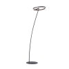 Lampadaire Paul-Neuhaus TITUS Anthracite, 1 lumière