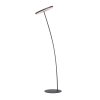 Lampadaire Paul-Neuhaus TITUS Anthracite, 1 lumière