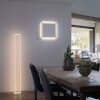 Plafonnier Paul-Neuhaus Q-KAAN LED Acier brossé, 2 lumières, Télécommandes