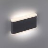 Applique murale d'extérieur Paul-Neuhaus ELSA LED Anthracite, 2 lumières