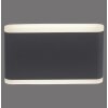 Applique murale d'extérieur Paul-Neuhaus ELSA LED Anthracite, 2 lumières