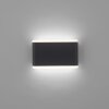 Applique murale d'extérieur Paul-Neuhaus ELSA LED Anthracite, 2 lumières