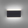 Applique murale d'extérieur Paul-Neuhaus ELSA LED Anthracite, 2 lumières