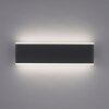 Applique murale d'extérieur Paul-Neuhaus ELSA LED Anthracite, 2 lumières