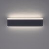 Applique murale d'extérieur Paul-Neuhaus ELSA LED Anthracite, 2 lumières