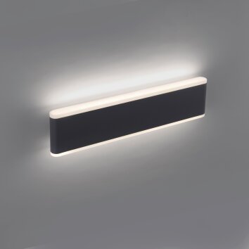 Applique murale d'extérieur Paul-Neuhaus ELSA LED Anthracite, 2 lumières