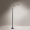 Lampadaire Leuchten-Direkt KELLY LED Noir, 1 lumière