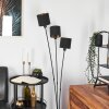 Lampadaire Alsen Noir, 3 lumières