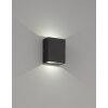 Applique murale d'extérieur Fischer-Honsel Denver LED Noir, 2 lumières