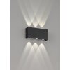 Applique murale d'extérieur Fischer-Honsel Nairobi LED Noir, 2 lumières