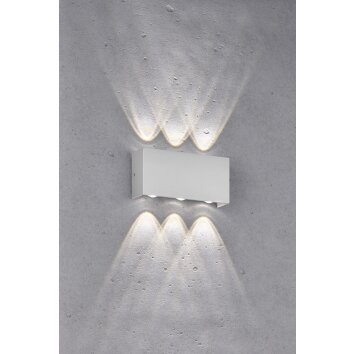 Applique murale d'extérieur Fischer-Honsel Nairobi LED Argenté, 2 lumières