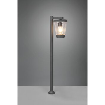 Borne lumineuse Trio-Leuchten Cavado Anthracite, 1 lumière