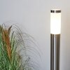 Borne lumineuse Sessa Nickel mat, 1 lumière