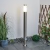 Borne lumineuse Sessa Nickel mat, 1 lumière