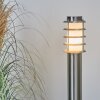 Borne lumineuse Tunes Nickel mat, 1 lumière