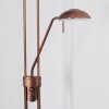 Lampadaire Heuru LED Bronze, 2 lumières