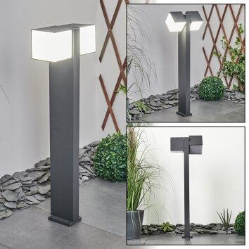 Borne lumineuse Swanek LED Anthracite, 1 lumière