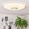 Plafonnier Bellach LED Blanc, 1 lumière