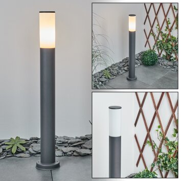 Borne lumineuse Caserta Anthracite, 1 lumière