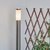 Borne lumineuse Sessa Nickel mat, 1 lumière